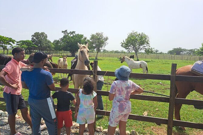 2-Hour Horseback Riding Tour at Sunset from Punta Cana - What Makes This Tour Special?