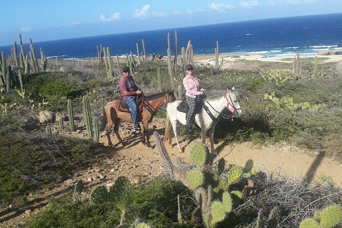 2-Hour Horseback Riding Tour to Little Natural Bridge in Aruba - Final Thoughts