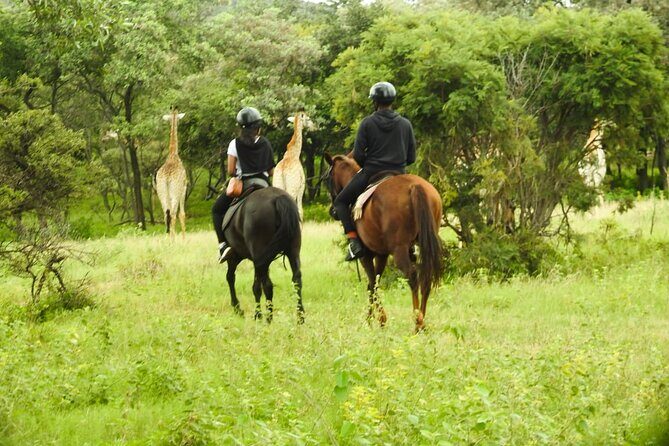 2-Hour Horseback Safari in Hartbeespoort - Who Would Enjoy This Tour?