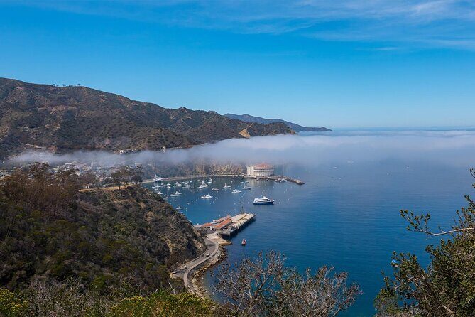 2 hour Inside Adventure Tour on Catalina Island - Exploring Catalina Island’s Hidden Side: A Review of the 2-Hour Inside Adventure Tour