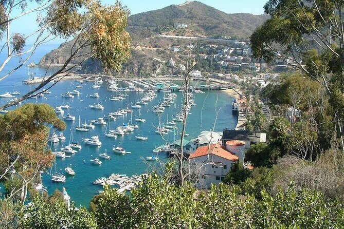 2 hour Inside Adventure Tour on Catalina Island - Deep Dive into the Experience