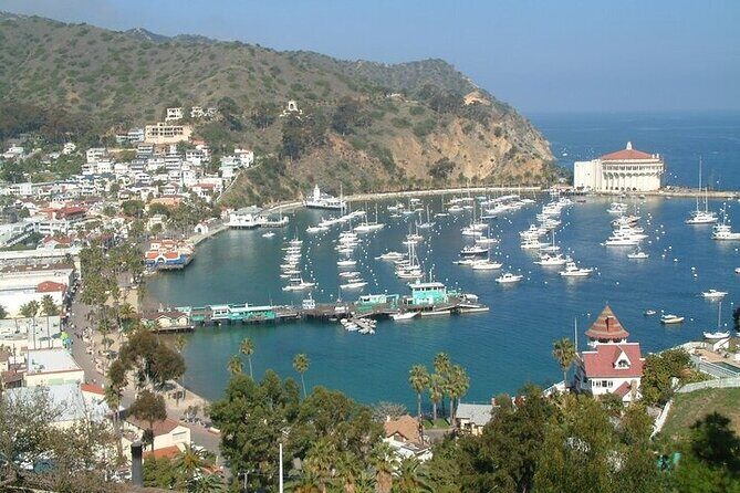 2 hour Inside Adventure Tour on Catalina Island - FAQ