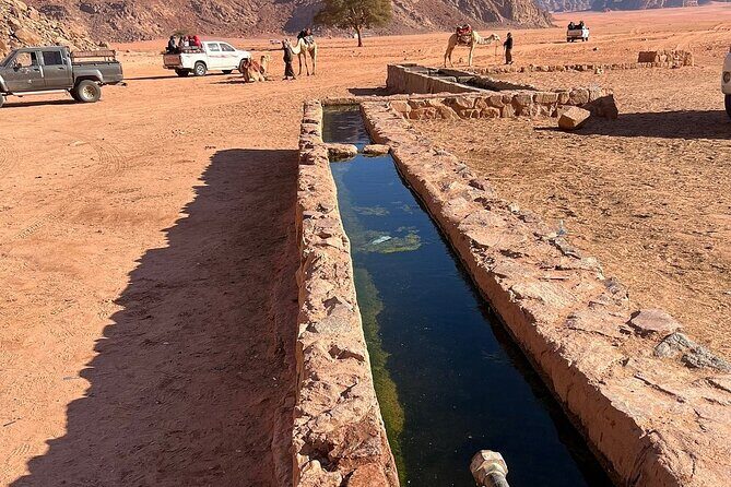 2 Hour Jeep Tour (Morning or Sunset) Wadi Rum Desert Highlights - Who Will Love This Experience?