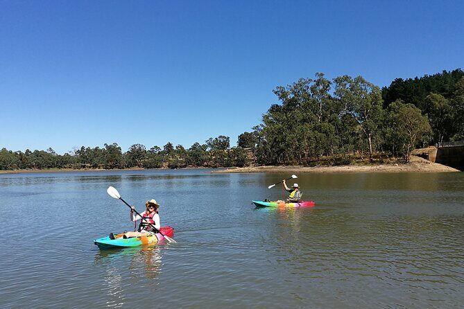 2-Hour Kayaking Experience in Barossa Valley - The Paddling Options