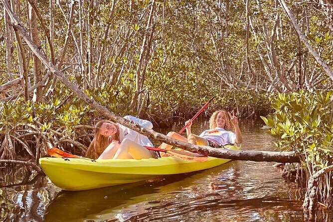 2 Hour Key West Kayak Rental Discover Mangroves & Wildlife! - Why Choose a Self-Guided Kayak Adventure?