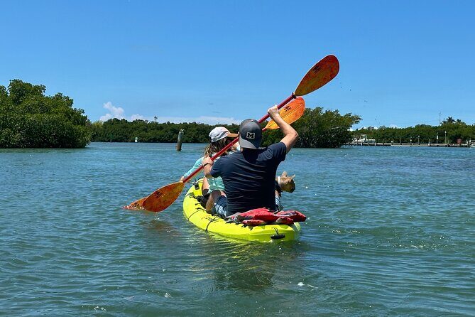 2 Hour Key West Kayak Rental Discover Mangroves & Wildlife! - What Travelers Say