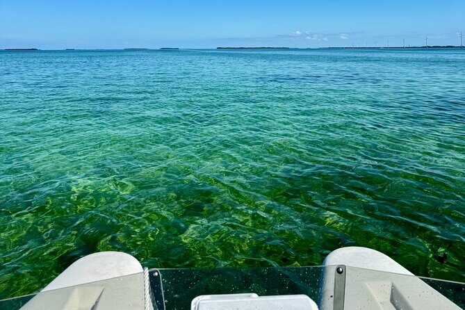 2 Hour Key West Mini Catamaran Eco Tour - The Sum Up