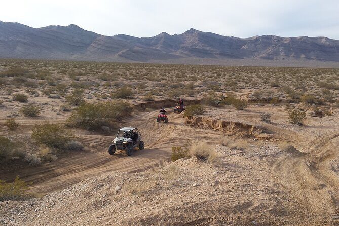2 Hour Las Vegas ATV/RZR Tour - Who Will Enjoy This Tour?