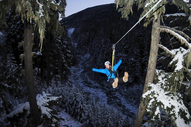2 Hour Late Afternoon Winter Zipline Adventure - An In-Depth Look at the Experience