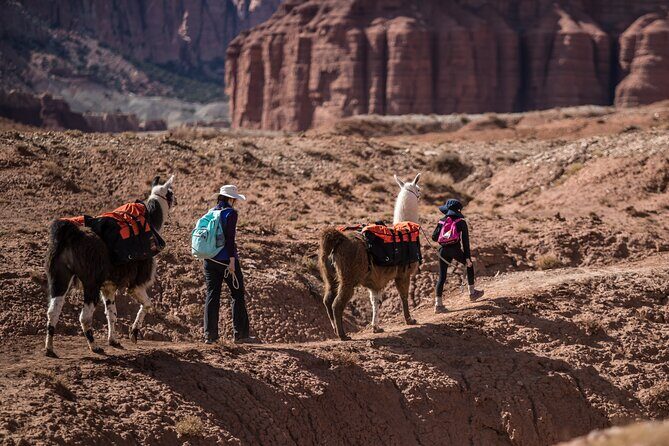 2-Hour Llama Hike - FAQ