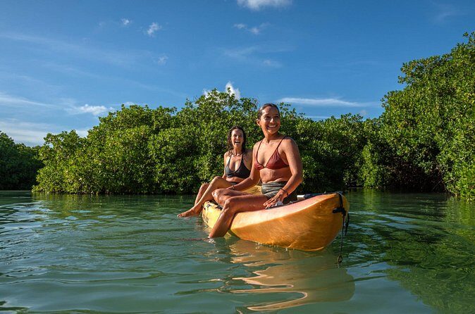 2 Hour Mangrove Kayak and Snorkel Tour - FAQ
