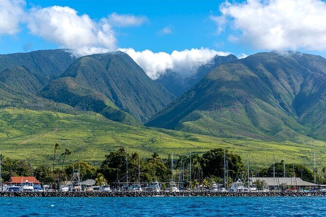 2 Hour Maui Dolphin Watch Sightsee Raft Tour (Semi-Private) - The Itinerary: A Closer Look