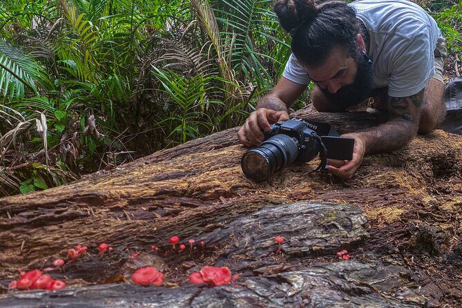 2-Hour Mushroom Photography Activity in Cairns Botanic Gardens - A Closer Look at the Experience