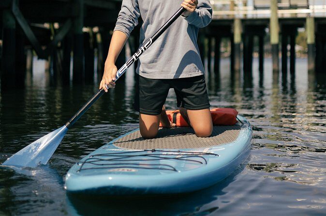 2 Hour Paddle Board Rental - Authentic Perspectives: What Past Participants Say