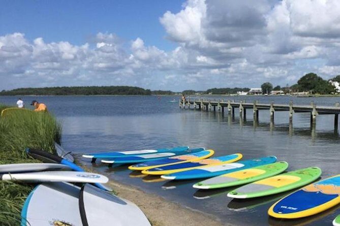 2-Hour Paddleboard Rental in Rehoboth Bay - What to Expect on the Water