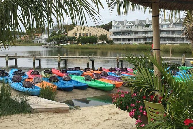 2-Hour Paddleboard Rental in Rehoboth Bay - The Experience’s Flexibility and Weather Considerations