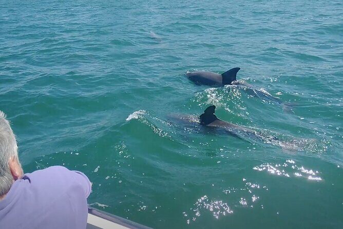 2-hour Private Boat Tour in Clearwater Florida - Cost and Value Analysis