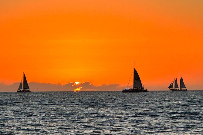 2 Hour Private Dolphin and Sightseeing Tour Shell Island - FAQs