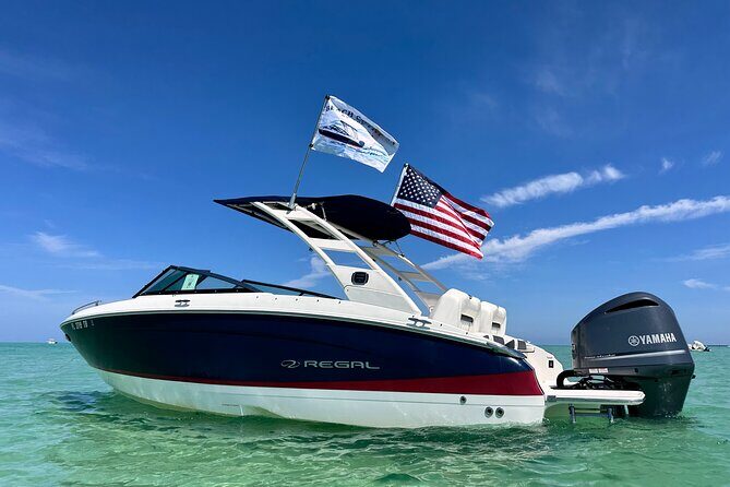 2 Hour Private Dolphin Eco Bout Tour St Pete Beach Florida - Who Will Love This Tour?