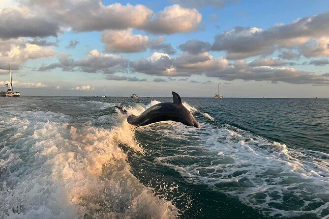 2 Hour Private Dolphin Sightseeing Tour - Final Thoughts: Should You Book This Tour?