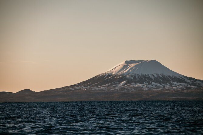 2 Hour Private Marine Wildlife Tour - FAQs