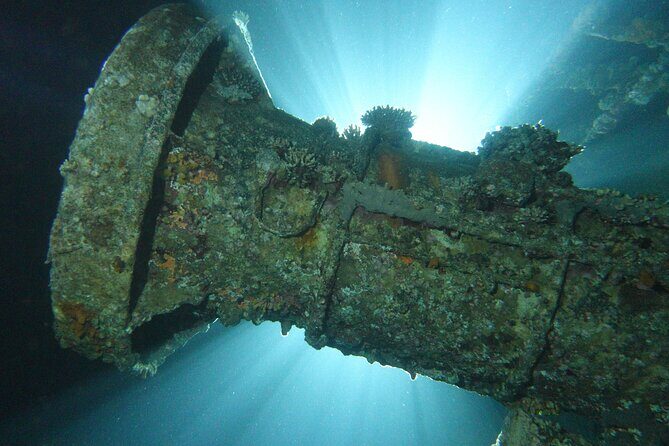 2 Hour Private Night Diving in the Red Sea of Aqaba - An Authentic Night Dive in Aqaba’s Red Sea — What You Can Expect