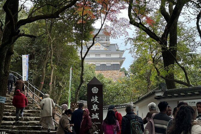 2 Hour Private Scenic Mountain Castle Tour in Gifu - Key Points