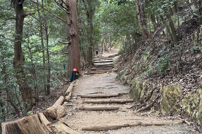 2 Hour Private Scenic Mountain Castle Tour in Gifu - The Sum Up: Who Is This Tour Best For?