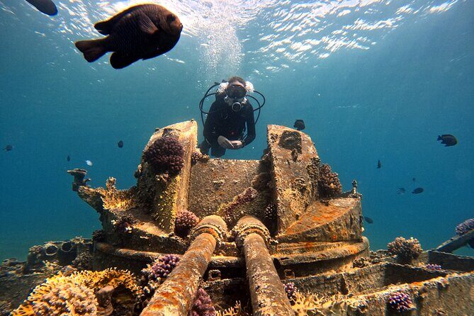 2-Hour Private Scuba Experience in Aqaba - Final Thoughts