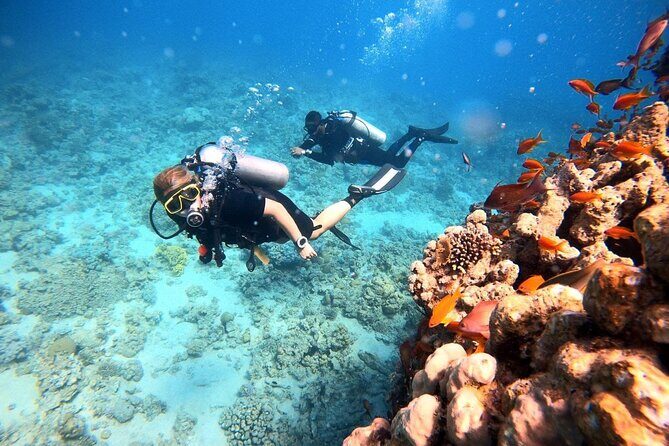 2-Hour Private Scuba Experience in Aqaba - FAQ