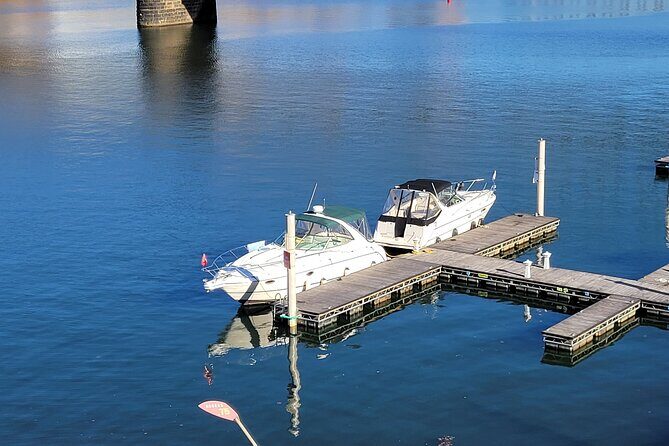 2 Hour Private Sightseeing Charter Boat Cruise - Who Is This Tour Best For?