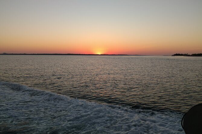2-Hour Private Sightseeing Dolphin Tour in Panama City Beach - The Itinerary and What Makes It Special