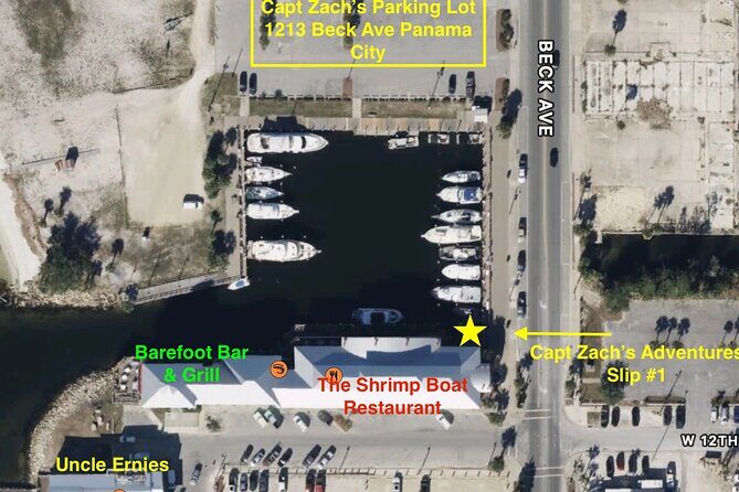 2-Hour Private Sightseeing Dolphin Tour in Panama City Beach - Practical Details and Tips
