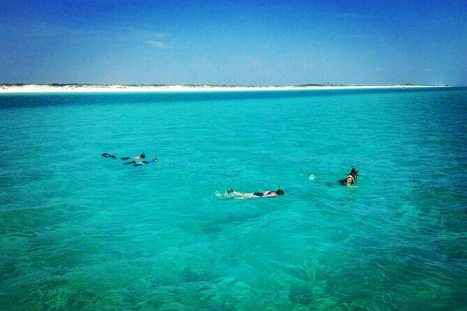2-Hour Private Sightseeing Dolphin Tour in Panama City Beach - The Sum Up