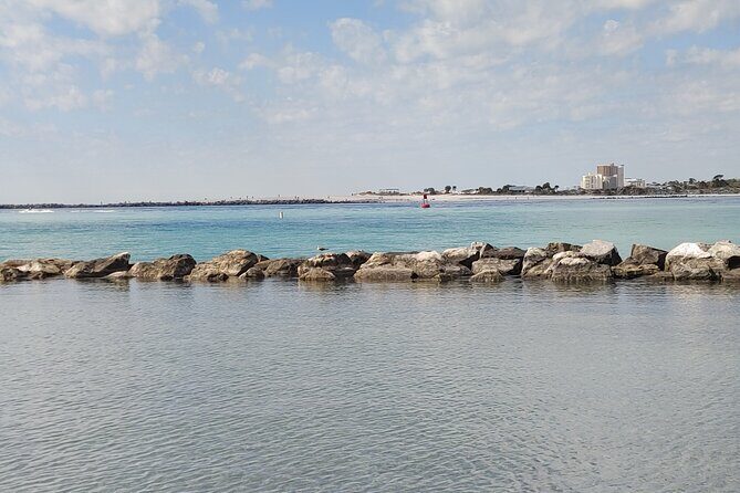 2-Hour Private Sightseeing Dolphin Tour in Panama City Beach - FAQ