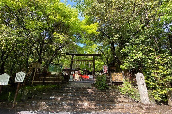 2 Hour Private Tour of Arashiyama Highlights - The Itinerary in Detail: What to Expect