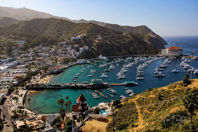 2 Hour Private Tour of Avalon - An Authentic Look at Avalon: 2 Hour Private Tour of Catalina Island