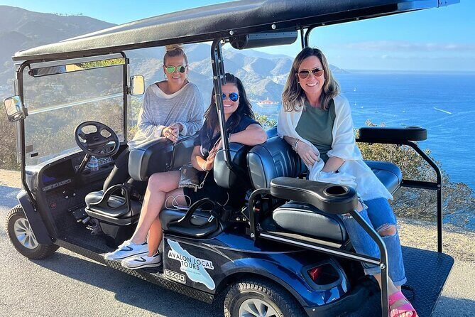2 Hour Private Tour of Avalon - Why Consider This Tour?