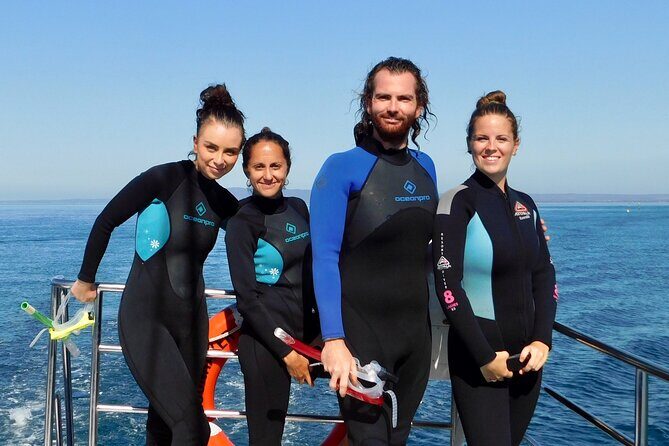 2 hour Seals & Seadragon Swim - The Booking and Cancellation Policy