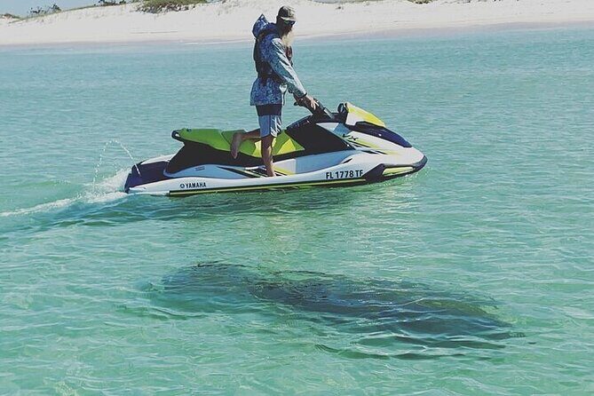 2 Hour Shell Island Jet Ski Dolphin Tour - What to Expect on the Tour