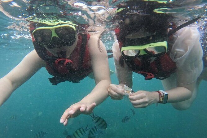 2 Hour Snorkeling and Dolphin Tour - Key Points