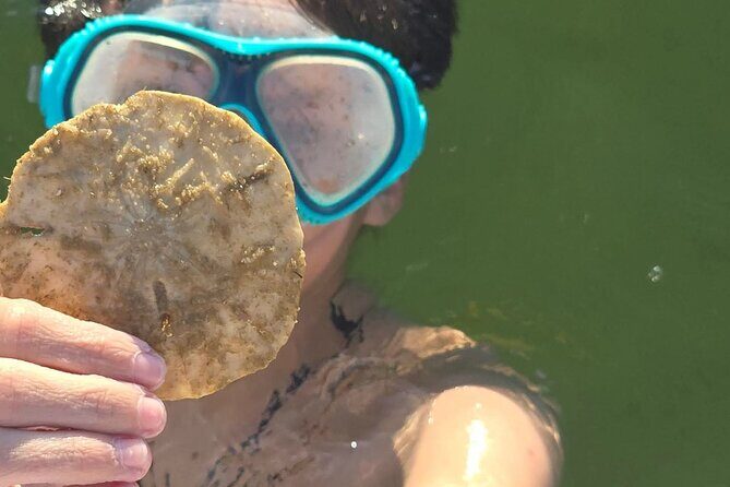 2 Hour Snorkeling and Dolphin Tour - FAQ