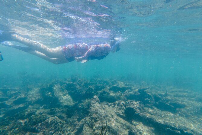 2-Hour Snorkeling in Two Spots of Tulum's Reef - FAQ