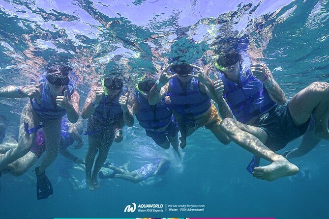 2-Hour Snorkeling Paradise Reef in Cancún Underwater Museum - Key Points