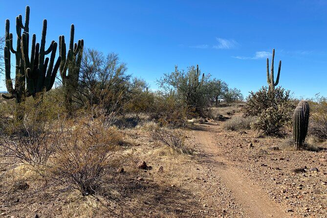2 Hour Sonoran Desert Private Guided Mountain Bike Tour - Frequently Asked Questions