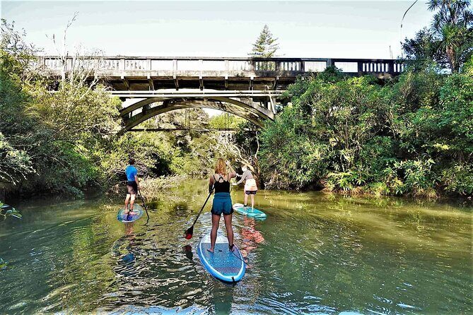 2-Hour Stand-Up Paddle Boarding Tour to Lucas Creek Waterfall - Whats Included and Practical Details