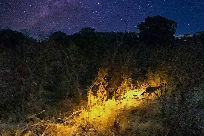 2 Hour Stargazing Tour in Victoria Falls NP Area in 4x4 - The Practical Side