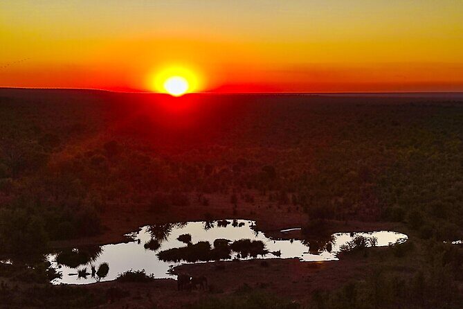 2 Hour Stargazing Tour in Victoria Falls NP Area in 4x4 - The Sum Up