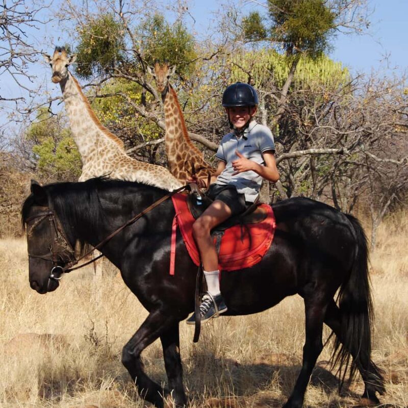 2 hour Sunrise Horseback Safari - Key Points