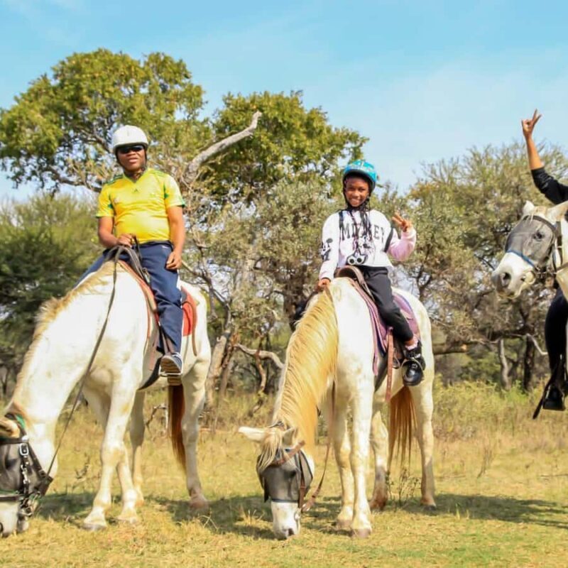 2 hour Sunrise Horseback Safari - An Authentic and Relaxing Way to Experience South African Wildlife